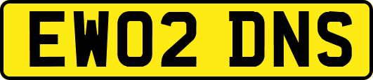 EW02DNS