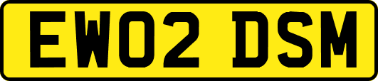 EW02DSM
