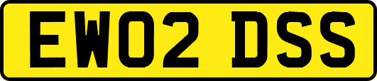EW02DSS