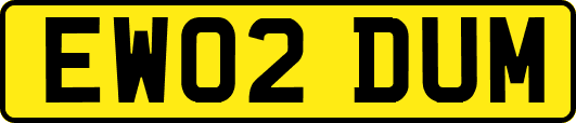 EW02DUM