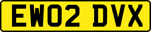 EW02DVX