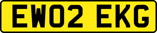EW02EKG