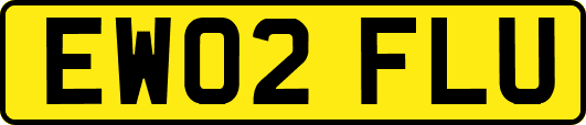 EW02FLU