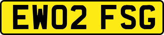 EW02FSG