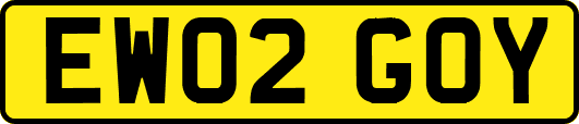 EW02GOY