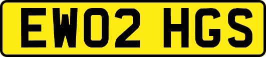 EW02HGS