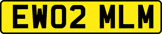 EW02MLM
