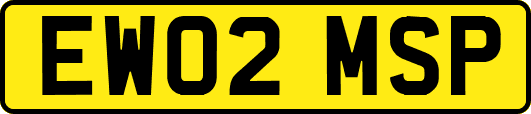 EW02MSP