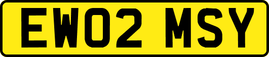 EW02MSY