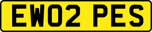 EW02PES