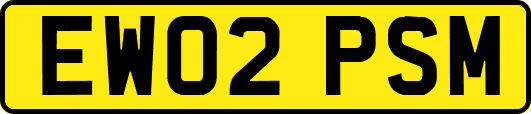 EW02PSM