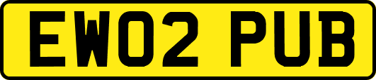 EW02PUB