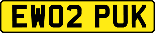 EW02PUK