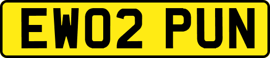 EW02PUN