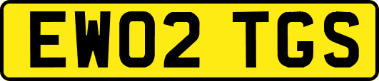 EW02TGS