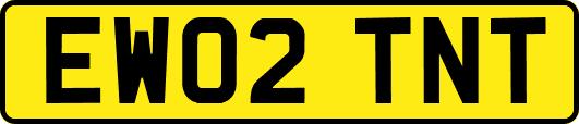 EW02TNT
