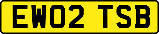 EW02TSB