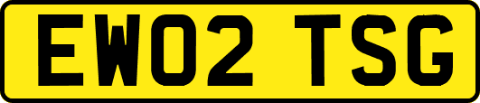 EW02TSG