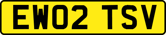 EW02TSV