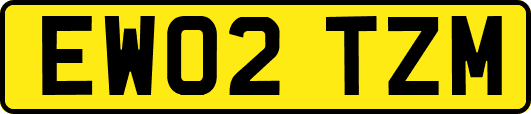 EW02TZM