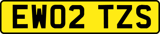 EW02TZS