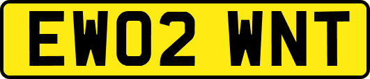 EW02WNT