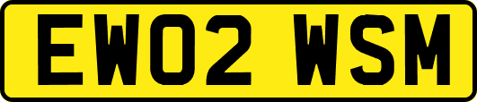 EW02WSM