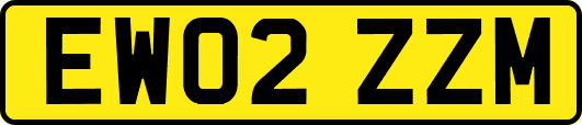 EW02ZZM