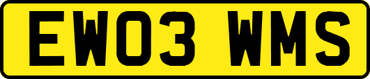 EW03WMS
