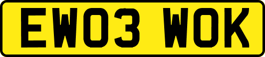 EW03WOK