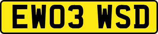 EW03WSD