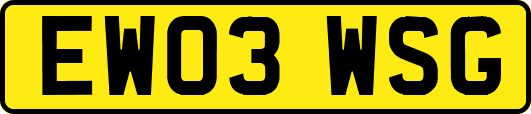 EW03WSG