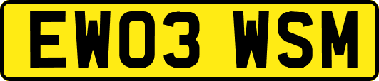 EW03WSM