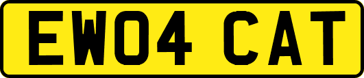 EW04CAT