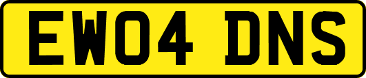 EW04DNS