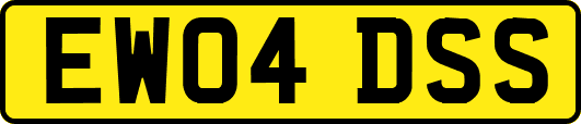 EW04DSS
