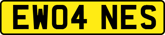 EW04NES