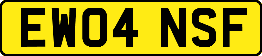 EW04NSF