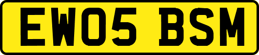 EW05BSM