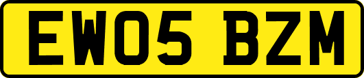 EW05BZM