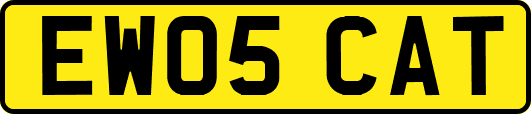 EW05CAT