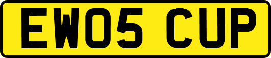 EW05CUP