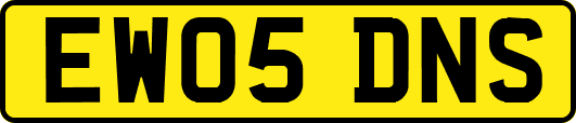 EW05DNS