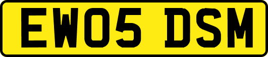 EW05DSM