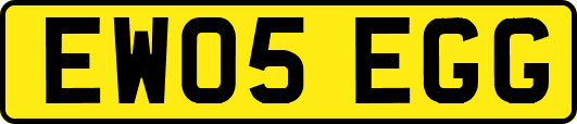EW05EGG