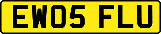 EW05FLU