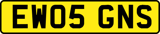 EW05GNS