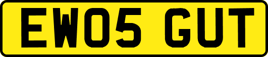 EW05GUT