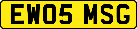 EW05MSG