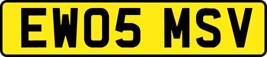 EW05MSV